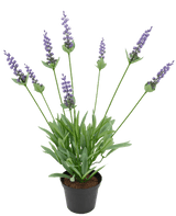 Lavanda finta 43 cm