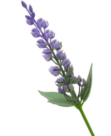 Lavanda finta 43 cm