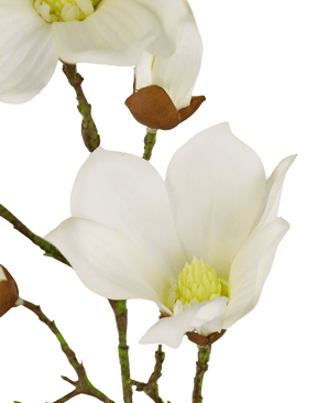 Magnolia Artificiale Real Touch Bianco 72cm