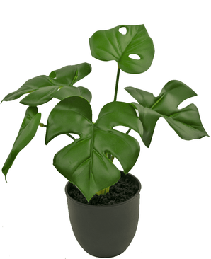 Monstera artificiale 26 cm in vaso ornamentale nero