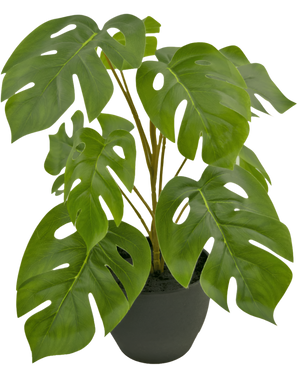 Monstera artificiale 40 cm in vaso ornamentale nero