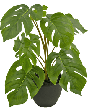 Monstera artificiale 40 cm in vaso ornamentale nero