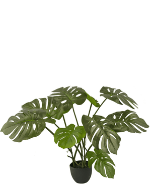 Monstera artificiale 50 cm