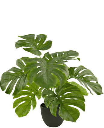 Monstera artificiale 55 cm in vaso ornamentale nero