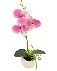 Orchidea artificiale 28 cm bianco/rosa in vaso