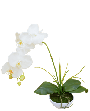 Orchidea artificiale 50 cm bianca in vaso