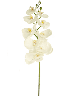 Orchidea artificiale Real Touch Deluxe 105 cm bianco/giallo
