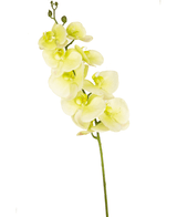 Orchidea artificiale Real Touch Deluxe 105 cm bianco/giallo