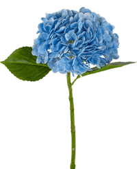 Ortensie finte "Annabelle" Real Touch Blue 55cm