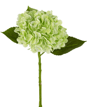 Ortensie finte "Annabelle" Real Touch Green 55 cm