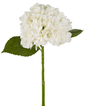 Ortensie finte "Annabelle" Real Touch White 55 cm