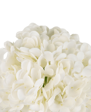 Ortensie finte "Annabelle" Real Touch White 55 cm