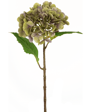 Ortensie finte Deluxe 55 cm verde/viola