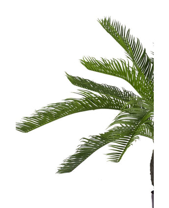 Palma finta Baby Cycas 60 cm