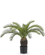 Palma finta Baby Cycas 60 cm