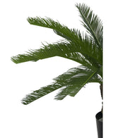 Palma finta Cycad 80 cm