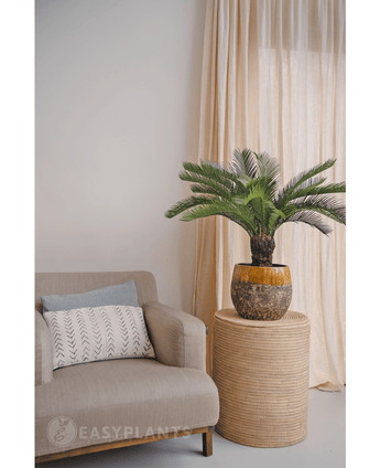 Palma finta Cycad 80 cm