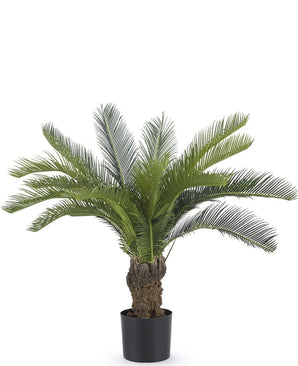 Palma finta Cycad 80 cm