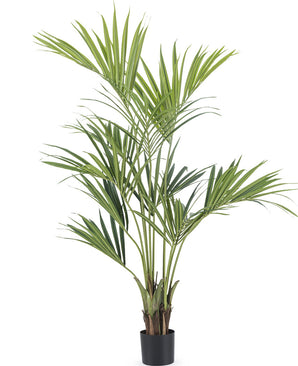Palma finta Kentia 165 cm