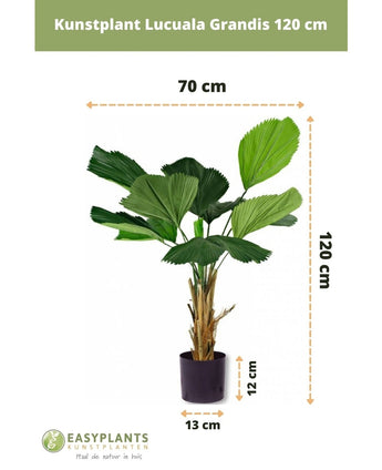 Palma finta Lucuala Grandis 120 cm