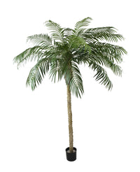 Palma finta Phoenix De Luxe 250 cm