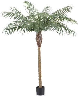 Palma finta Phoenix Palm De Luxe 180 cm