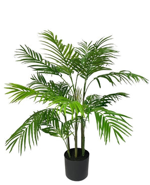 Palma fintaAreca 90 cm