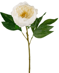 Peonia artificiale Real Touch Bianco 58 cm