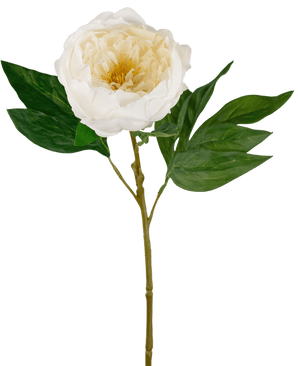 Peonia artificiale Real Touch Bianco 58 cm