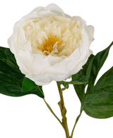 Peonia artificiale Real Touch Bianco 58 cm