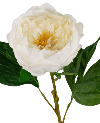 Peonia artificiale Real Touch Bianco 58 cm