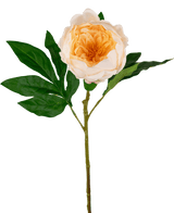 Peonia artificiale Real Touch Crema Bianca 58 cm