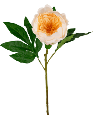 Peonia artificiale Real Touch Crema Bianca 58 cm