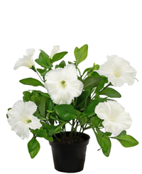 Pianta di Petunia artificiale 25 cm bianca