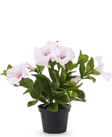 Pianta di Petunia artificiale 25 cm rosa