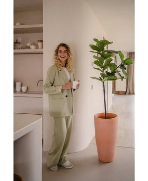 Pianta di tabacco Ficus Deluxe 155 cm