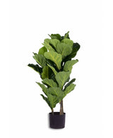 Pianta di tabacco artificiale Ficus Lyrate 100 cm