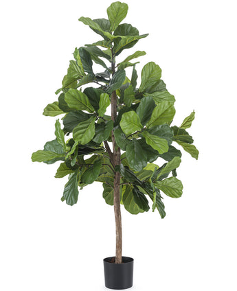 Pianta di tabacco artificiale Ficus Lyrate 150 cm