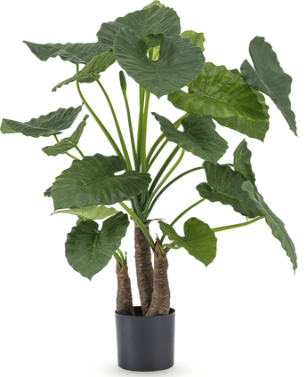 Piante Finte Alocasia 120 cm