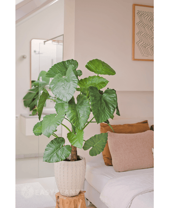 Piante Finte Alocasia 120 cm