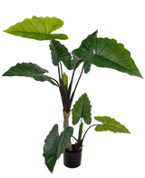 Piante Finte Alocasia 150 cm