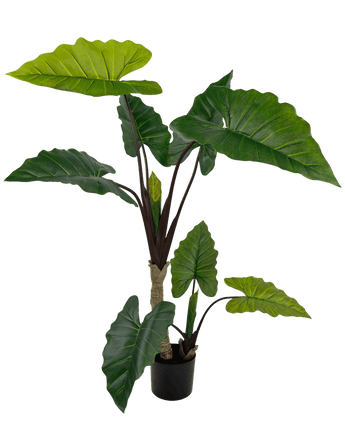 Piante Finte Alocasia 150 cm