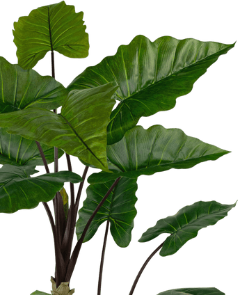 Piante Finte Alocasia 180 cm