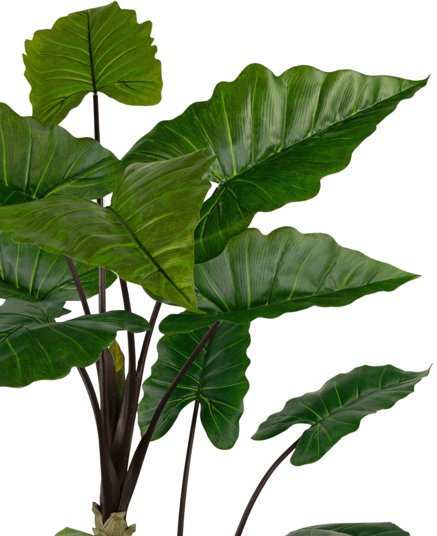 Piante Finte Alocasia 180 cm