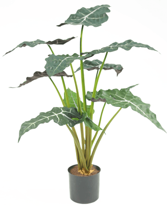 Piante Finte Alocasia 67 cm