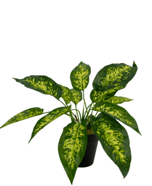 Piante Finte Anthurium 25 cm