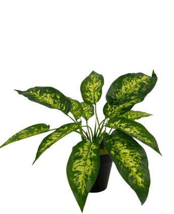 Piante Finte Anthurium 25 cm