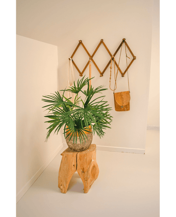 Piante Finte Baby Palm Fan in vaso 50 cm