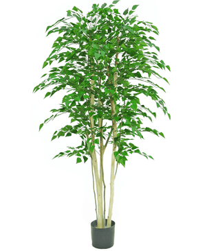 Piante Finte Betulla grezza 210 cm