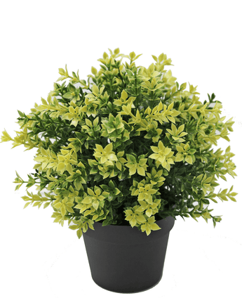 Piante Finte Buxus giallo 22 cm UV